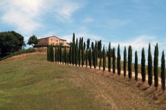 160220110845montalcino_2
