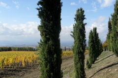 200420141030sdc11232