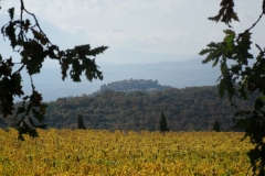catel_nuovo_dell__abate