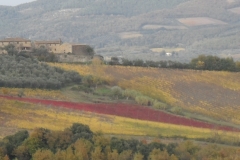chianti_paesaggio