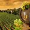 wine-tuscany1-ridim